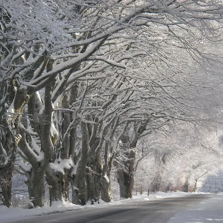 Le Des Rioux,**** Au Coeur Des Volcans D'auvergne * Ceyssat