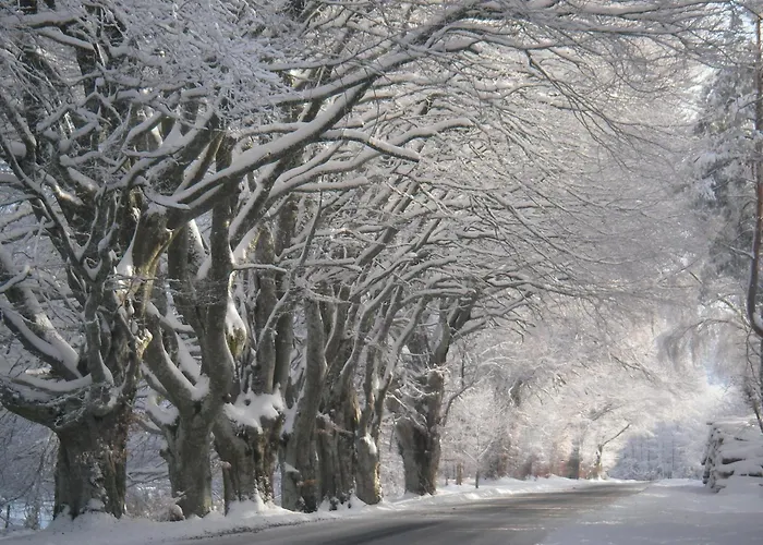 Le Des Rioux,**** Au Coeur Des Volcans D'auvergne * Ceyssat